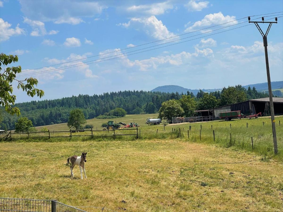 Ferienwohnung Eifel Hümmel Εξωτερικό φωτογραφία